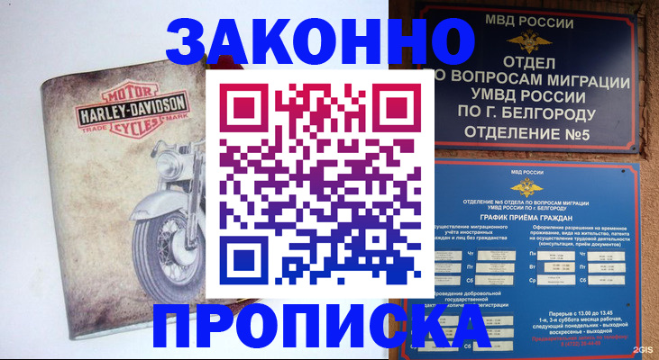 прописка для школы в Мыски